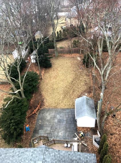 Greenstar Tree: Service Image-10 Greenstar Tree: Service Image-10