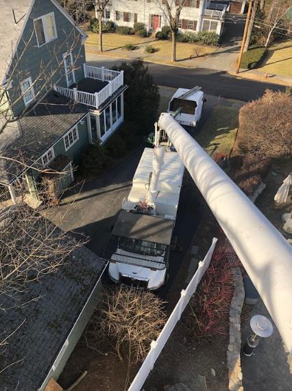 Greenstar Tree: Service Image-13