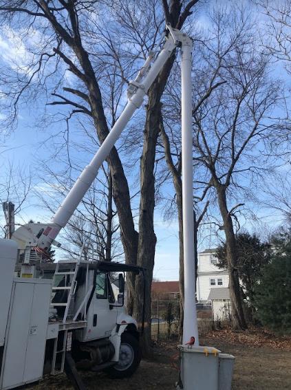 Greenstar Tree: Service Image-16 Greenstar Tree: Service Image-16